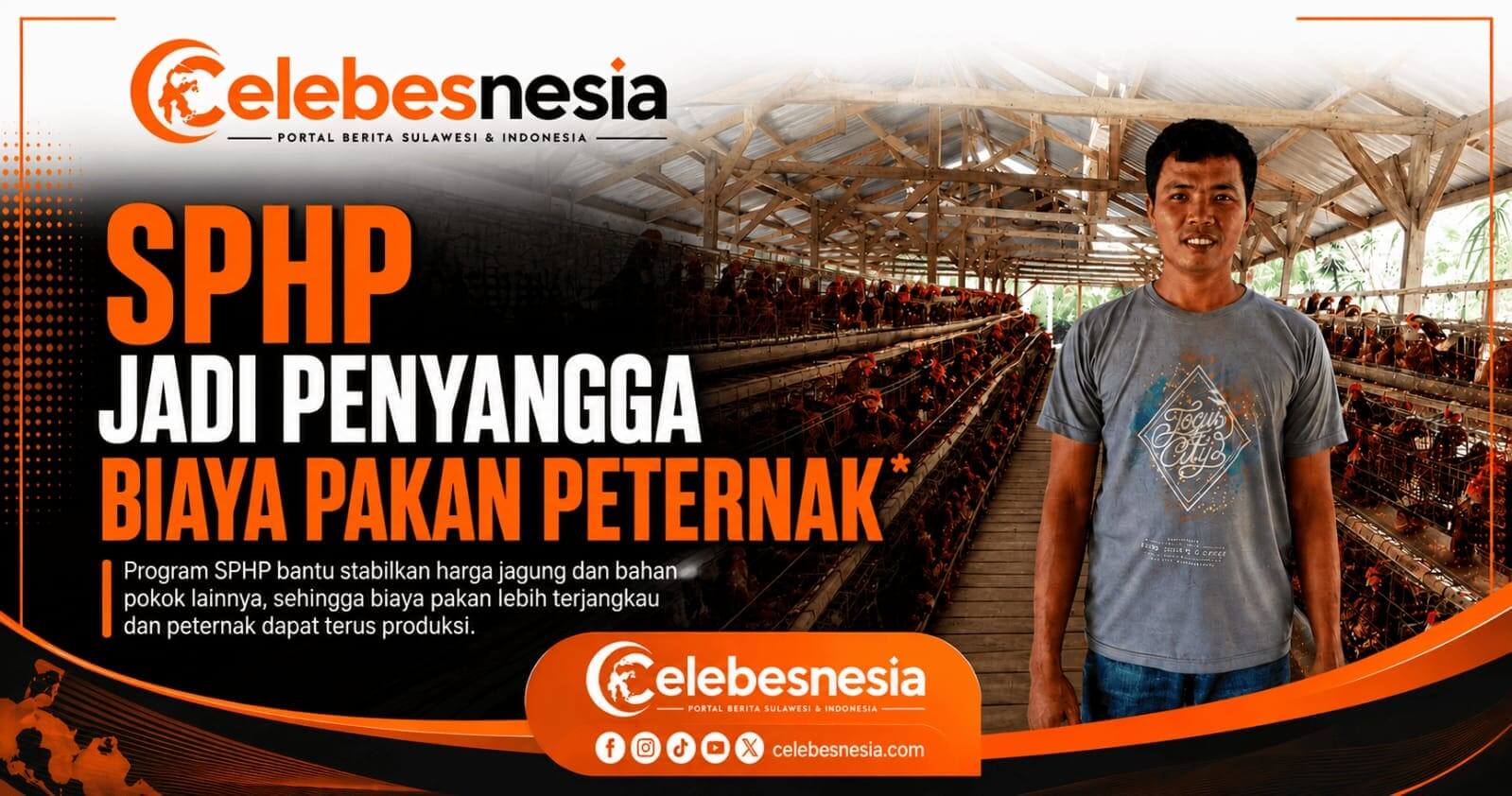Di Tengah Kenaikan Harga Konsentrat, Jagung SPHP Jadi Penyangga Biaya Pakan Peternak